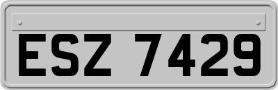 ESZ7429