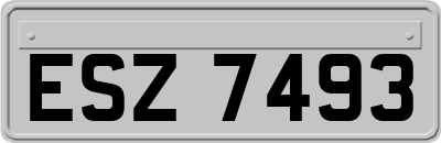 ESZ7493