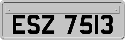 ESZ7513