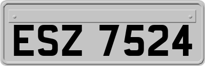 ESZ7524
