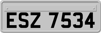 ESZ7534