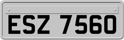 ESZ7560
