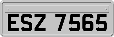 ESZ7565