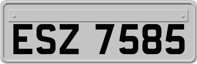 ESZ7585
