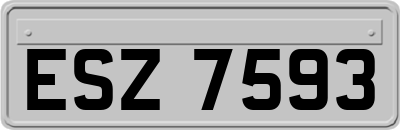 ESZ7593