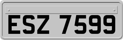 ESZ7599