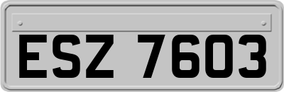 ESZ7603