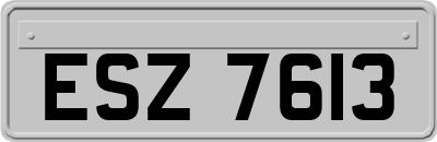 ESZ7613