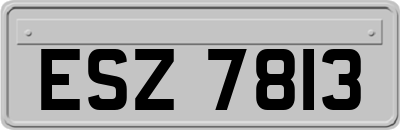 ESZ7813