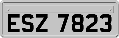 ESZ7823