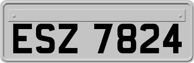 ESZ7824