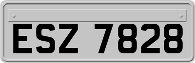 ESZ7828