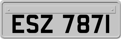 ESZ7871