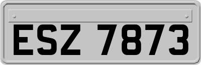 ESZ7873