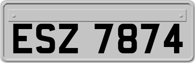 ESZ7874
