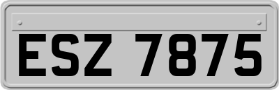 ESZ7875