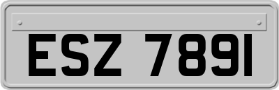 ESZ7891