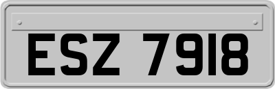 ESZ7918