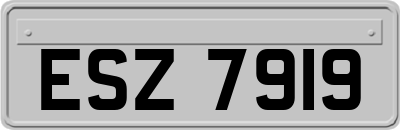 ESZ7919
