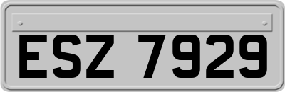 ESZ7929