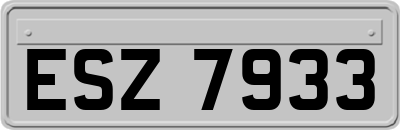 ESZ7933