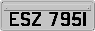 ESZ7951