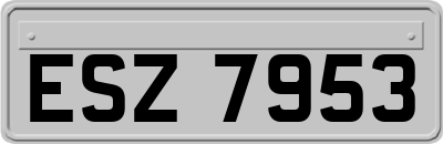 ESZ7953