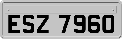 ESZ7960