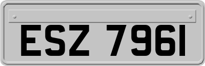 ESZ7961