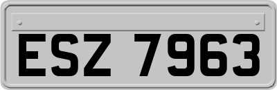 ESZ7963