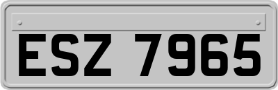 ESZ7965