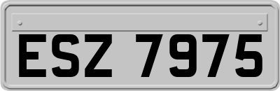 ESZ7975