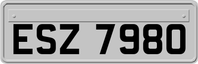 ESZ7980
