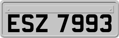 ESZ7993