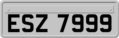ESZ7999