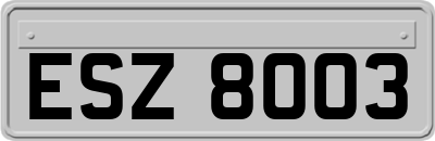 ESZ8003
