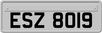 ESZ8019