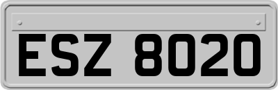 ESZ8020