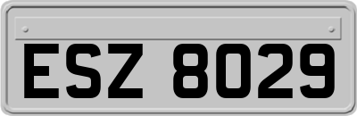 ESZ8029
