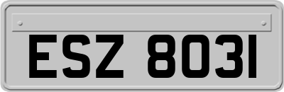 ESZ8031