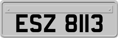 ESZ8113