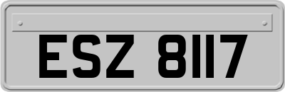 ESZ8117