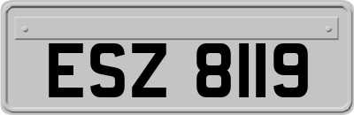 ESZ8119