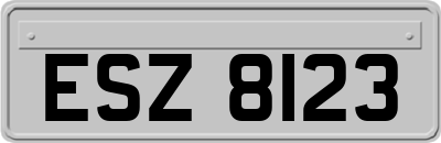 ESZ8123