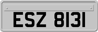 ESZ8131