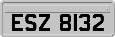 ESZ8132