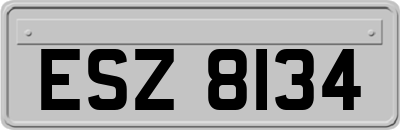 ESZ8134