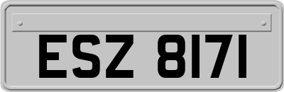 ESZ8171