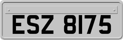 ESZ8175