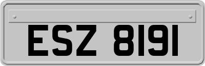 ESZ8191